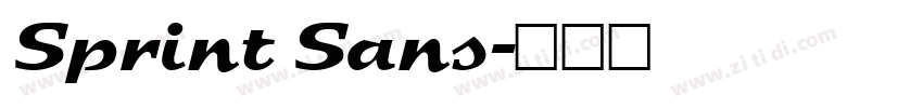 Sprint Sans字体转换